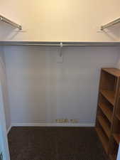 Walk in closet featuring carpet floors