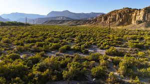 Mountain view with a forest