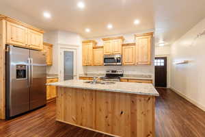 Kitchen with light brown cabinetry, stainless steel appliances, dark wood-style flooring, light stone counters, and recessed lighting