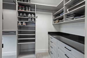 Spacious closet with carpet
