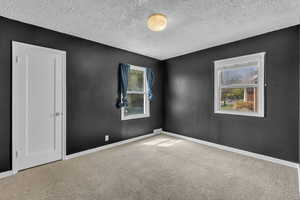 Spare room with carpet flooring and a textured ceiling