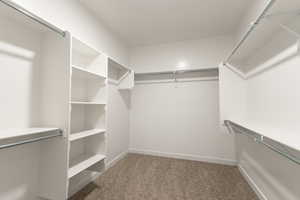 Spacious closet with carpet flooring