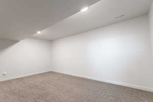 Additional living space featuring carpet flooring
