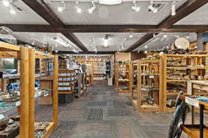 Misc room featuring carpet floors, rail lighting, and beam ceiling