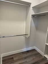 Spacious closet featuring dark wood-style floors