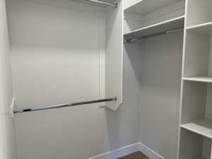 Spacious closet with dark wood finished floors