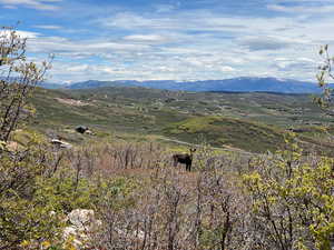 View of mountain backdrop