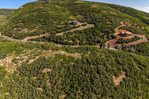 View of mountain background featuring a forest