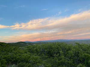 View of mountain background featuring a heavily wooded area