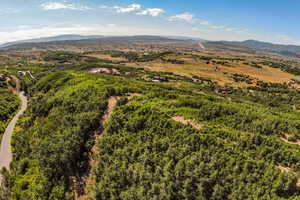 Drone / aerial view of a mountainous background and a forest
