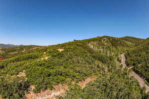 View of mountain background featuring a forest