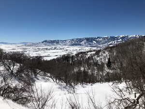 View of mountain background