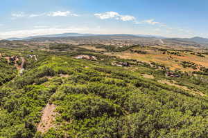 Mountain view with a forest