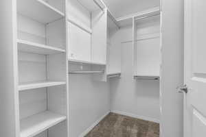 Spacious closet featuring dark colored carpet