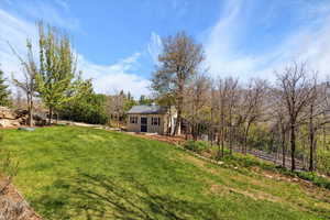 View of grassy yard