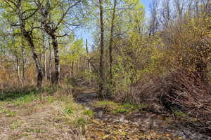 View of undeveloped land
