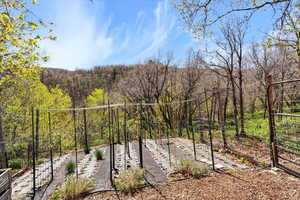 View of yard with a view of trees
