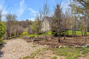 View of yard featuring a vegetable garden