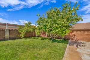 View of fenced backyard