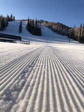 Deer Valley