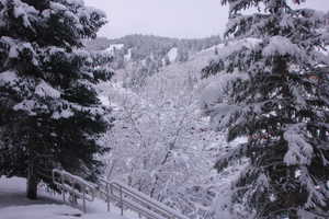 View of mountains with Snow