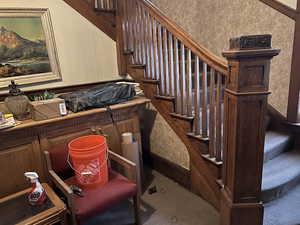 Stairs featuring carpet floors
