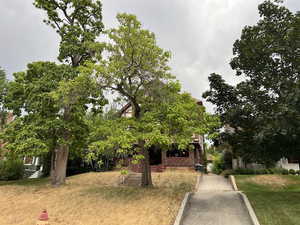Obstructed view of property with a front yard