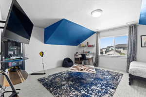 Carpeted bedroom featuring a textured ceiling and lofted ceiling