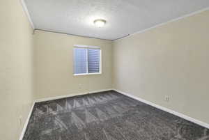 Empty room with crown molding, a textured ceiling, and dark carpet