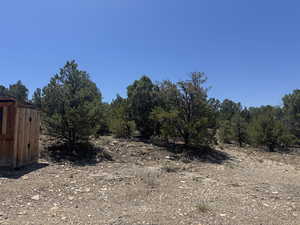 View of Land West of Wood Shed to South