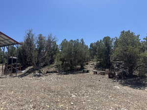 View of Land Southeast