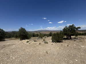 View of Land Northwest