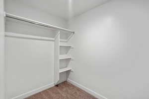 Walk in closet featuring carpet floors