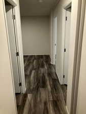 Hall with dark wood-style floors