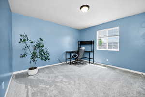Office area with carpet and baseboards