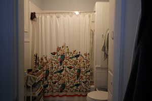 745-Full bath with toilet and shower / bathtub combination with curtain