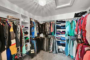 Spacious closet featuring attic access and carpet floors