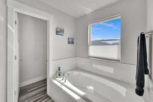 Bathroom featuring a garden tub and wood finished floors
