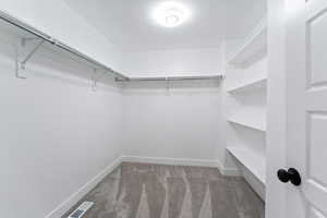 Spacious closet with carpet floors
