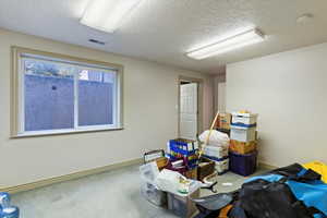 Below grade area with a textured ceiling and carpet floors