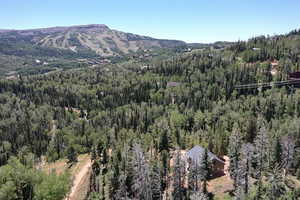 Mountain view with a heavily wooded area