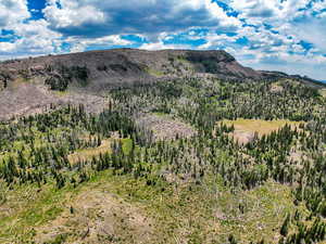 View of mountain backdrop with a forest