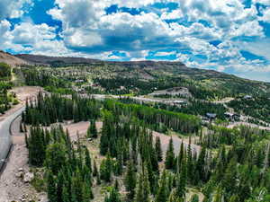 Mountain view with a forest