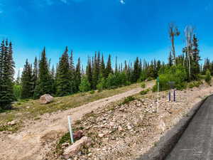 View of asphalt road