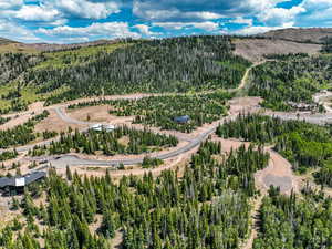 Aerial view of a heavily wooded area and mountains