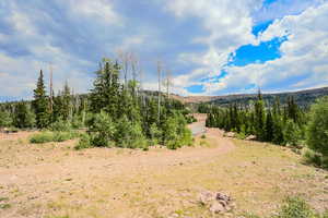 View of mountain background with a forest
