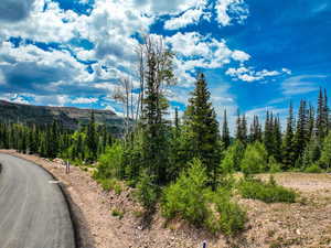 View of asphalt street with a wooded view and a mountain view