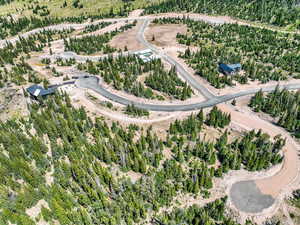 Aerial view of property's location