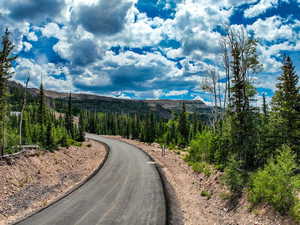 View of asphalt road featuring a forest view and a mountain view