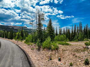 View of asphalt road featuring a mountain view and a wooded view